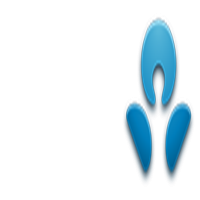 Australia and New Zealand Banking Group (ANZ)